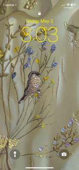 Ornamentum Cell Phone Wallpaper scaled for most smart phones, detail from "Relics of the Daughters of the Desert" 2013, embroidery detail, 1.