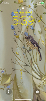 Ornamentum Cell Phone Wallpaper scaled for most smart phones, detail from "Relics of the Daughters of the Desert", 2013, Embroidery detail, 2.